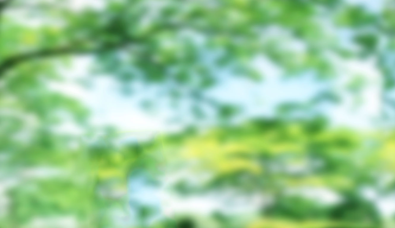 full screen background image